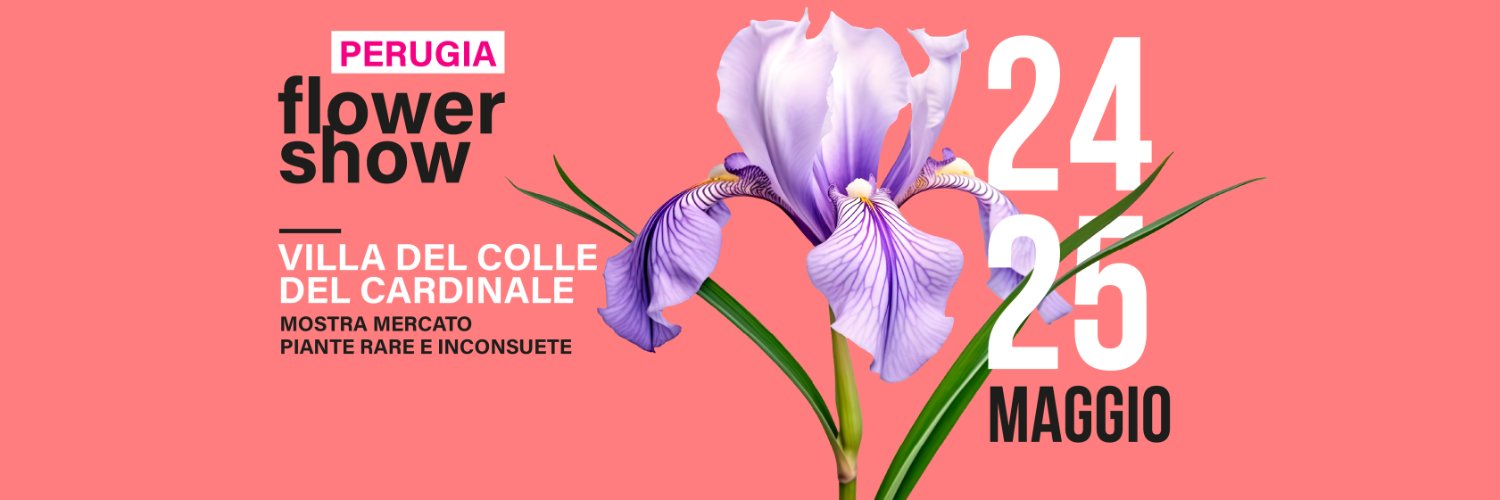 PerugiaFlower's profile banner image