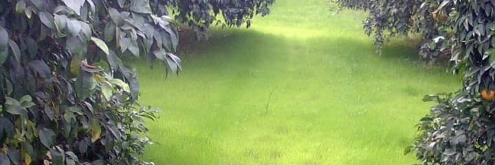 GodaraShailesh's profile banner image