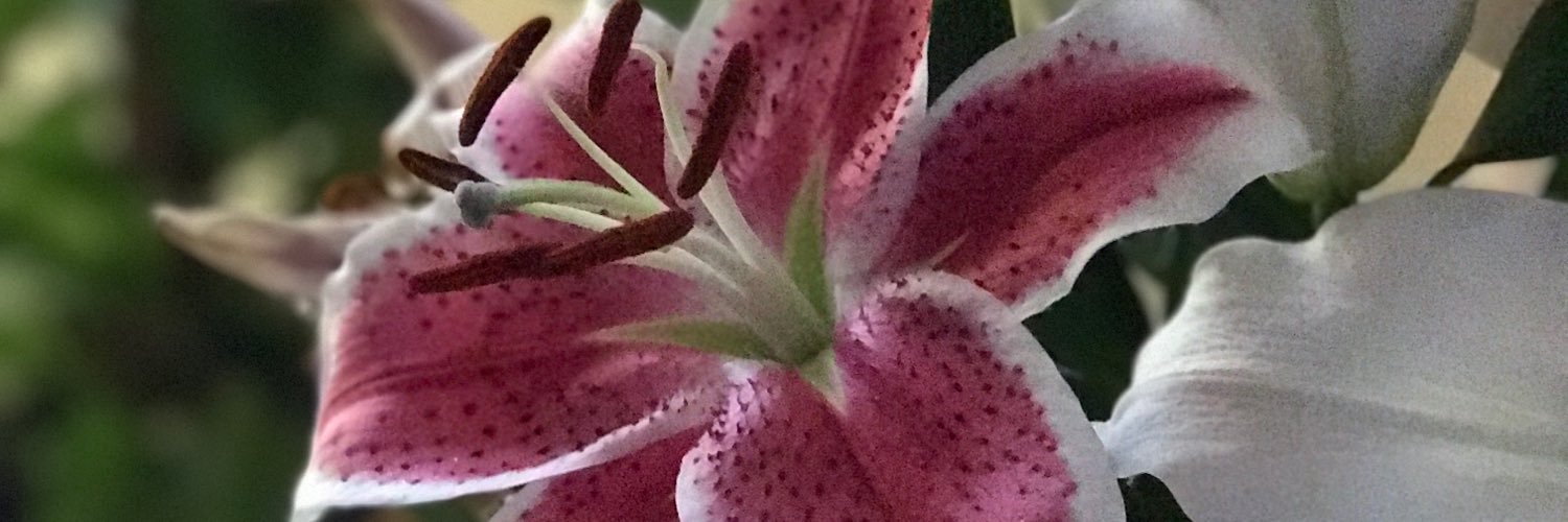 tee4677's profile banner image