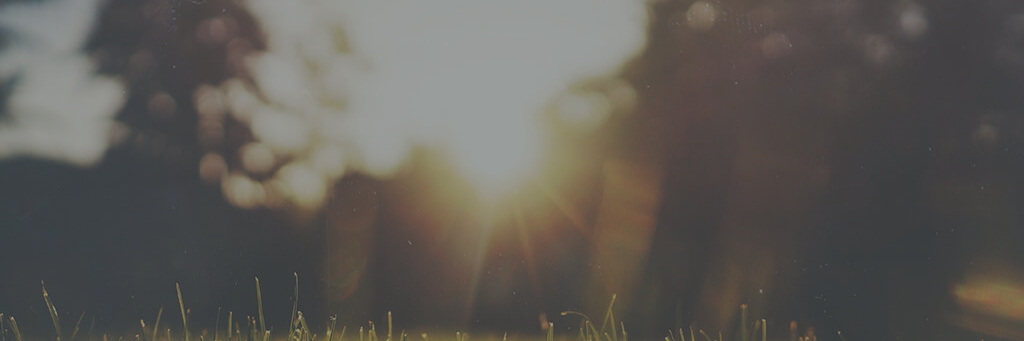 Kevin Sahin banner
