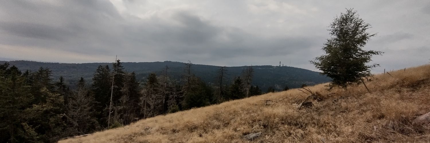 marcrcrc's profile banner image