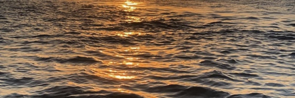 iiisarrrah's profile banner image