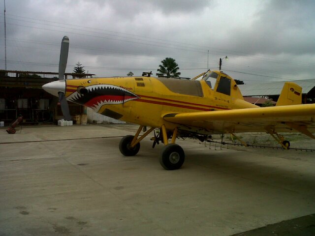 Alex_MiguelPL's profile banner image