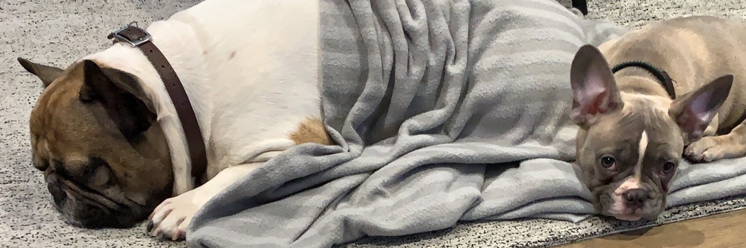 Abida Ali Thomas banner