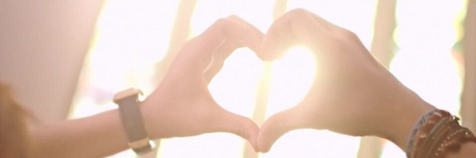 03120630's profile banner image