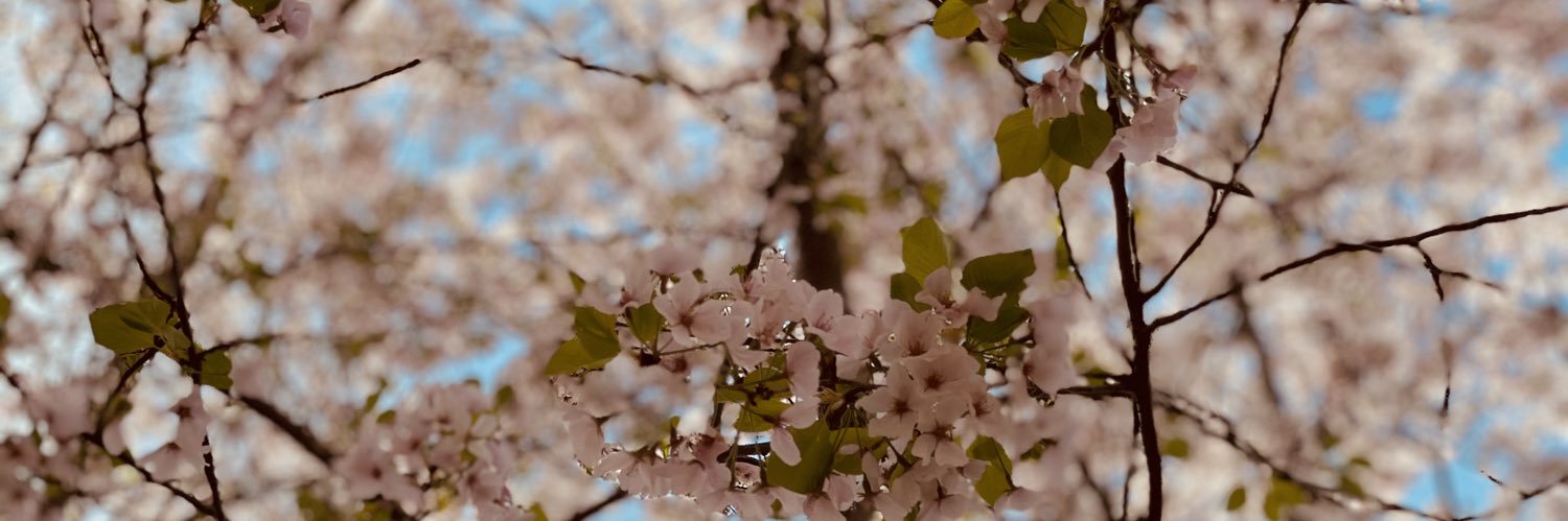 Billibaddassh's profile banner image