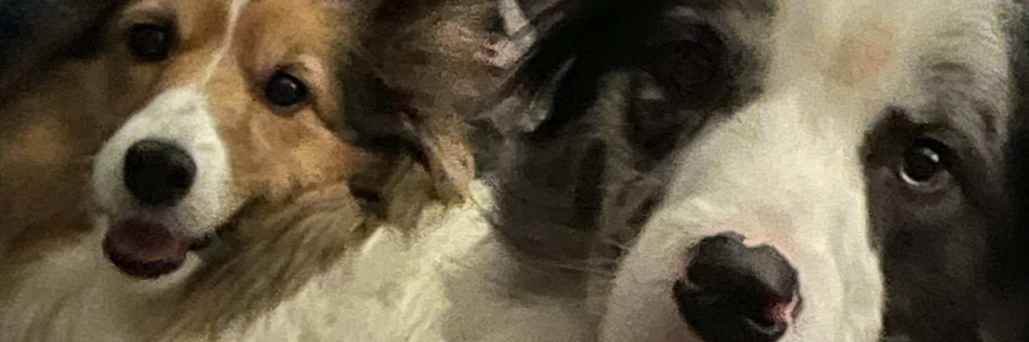 R. Cen banner
