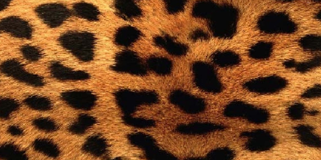 mirelarod's profile banner image