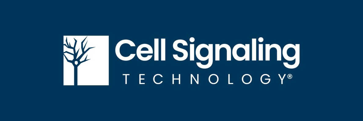 Cell Signaling Technology banner
