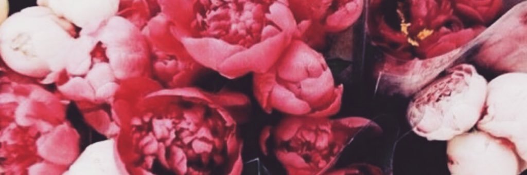 VerityAnne_'s profile banner image