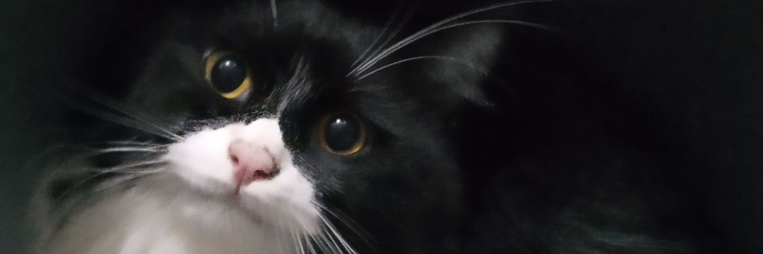 Jeng_Fince's profile banner image