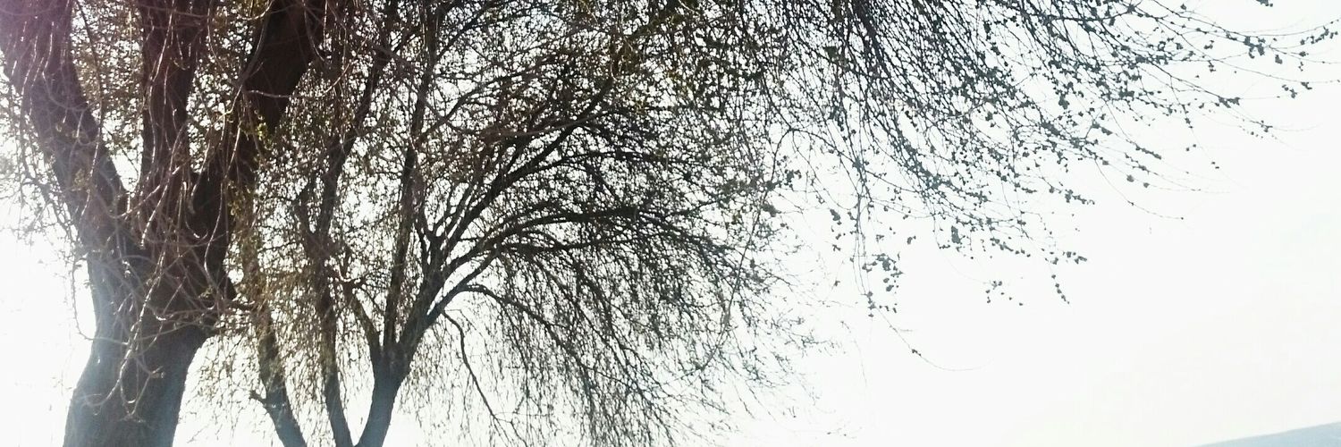 ZahideAltunbs's profile banner image