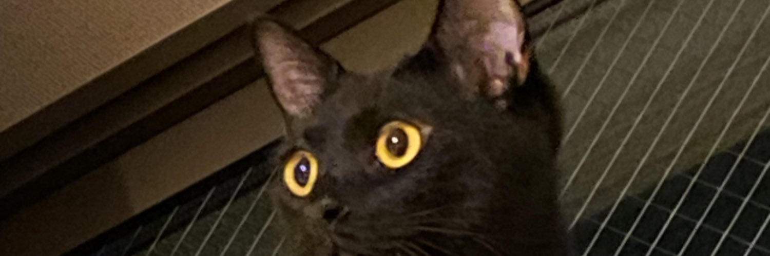 CatnapW's profile banner image