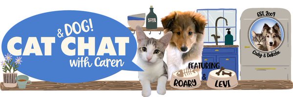 Cat and DOG Chat With Caren Profile Banner