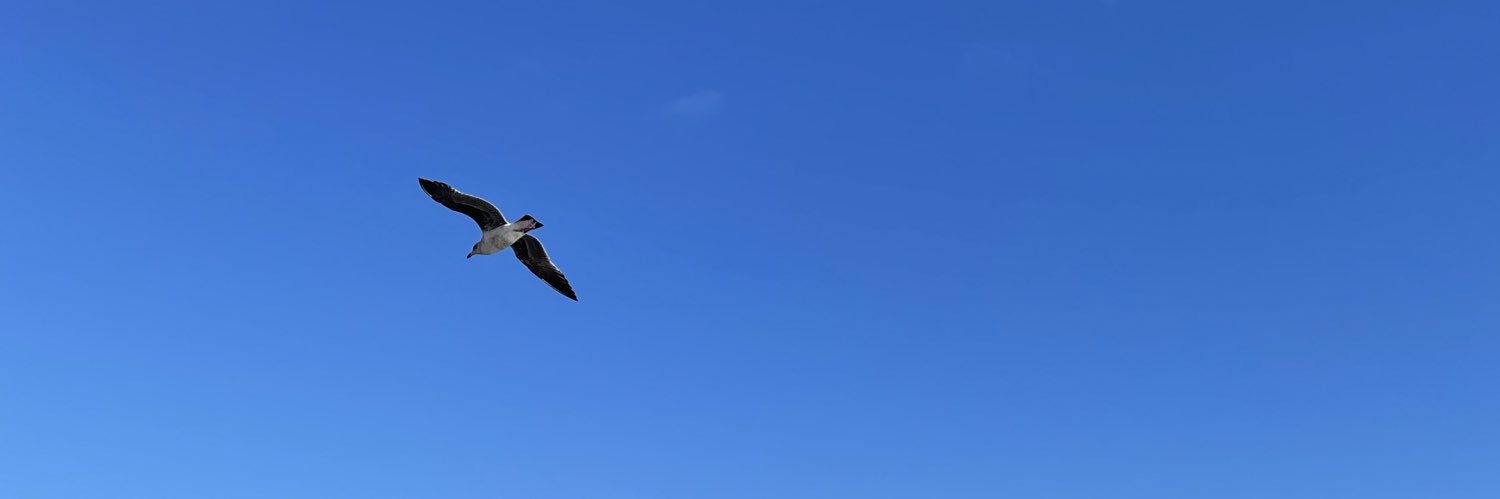 kityguzman's profile banner image