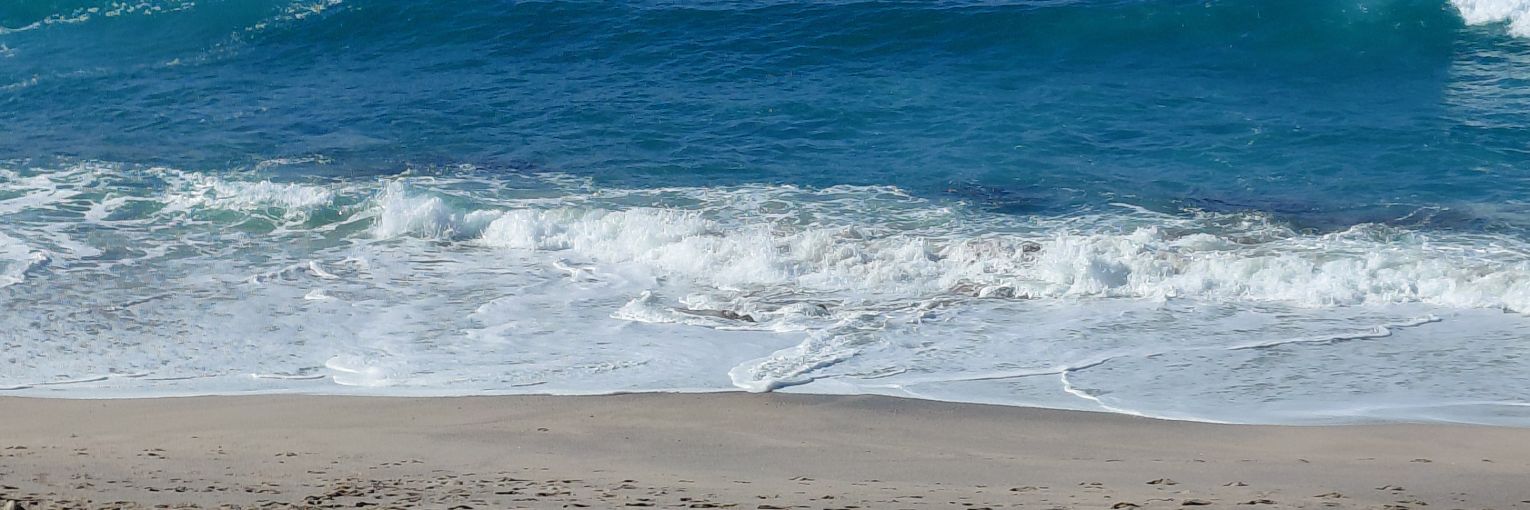 Alicia Banchero banner