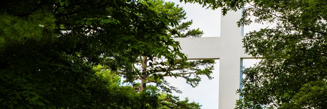 BeeckenCenter's profile banner image