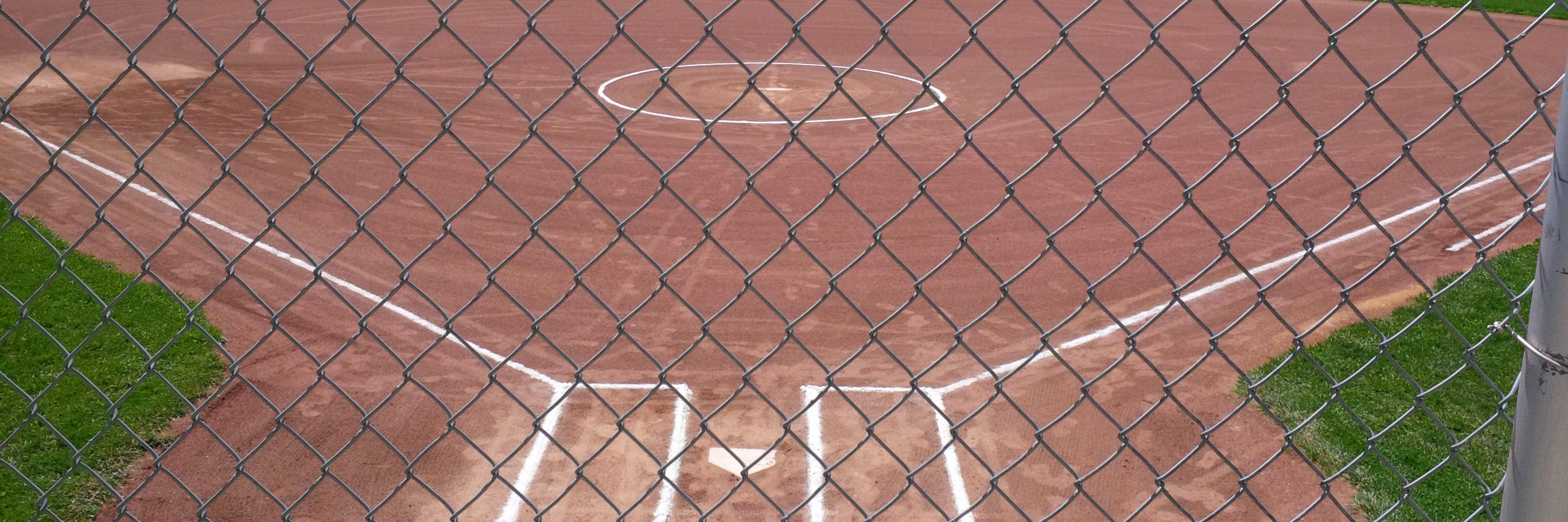 senatorsoftball's profile banner image