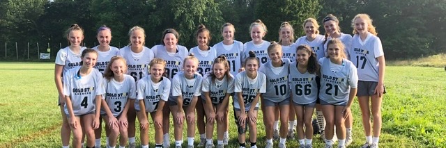 Gold Star Lacrosse banner