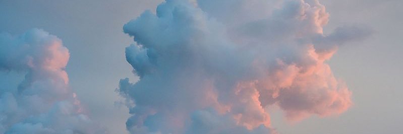 malcolmxhodge's profile banner image