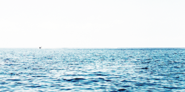 camilacrgdr's profile banner image