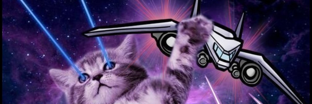 ciipicapa's profile banner image
