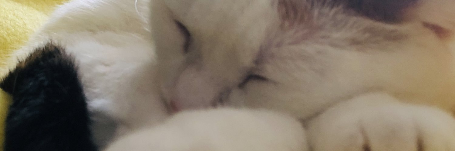 Amy_Kiley's profile banner image