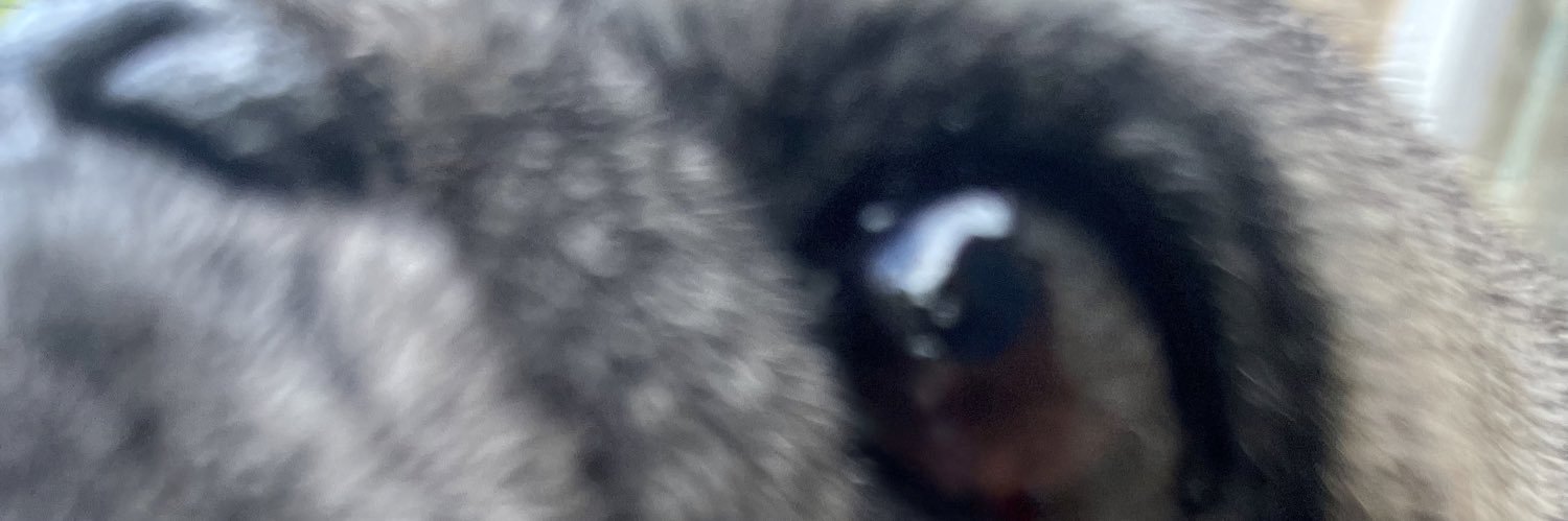okayykami's profile banner image