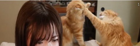 phoo_mary's profile banner image