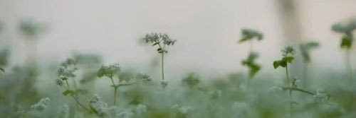 WillOfDeity's profile banner image