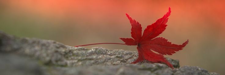 am_natzz's profile banner image