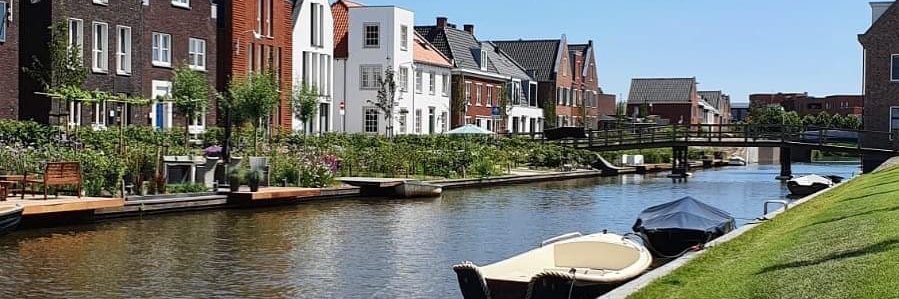 sandervanhal's profile banner image