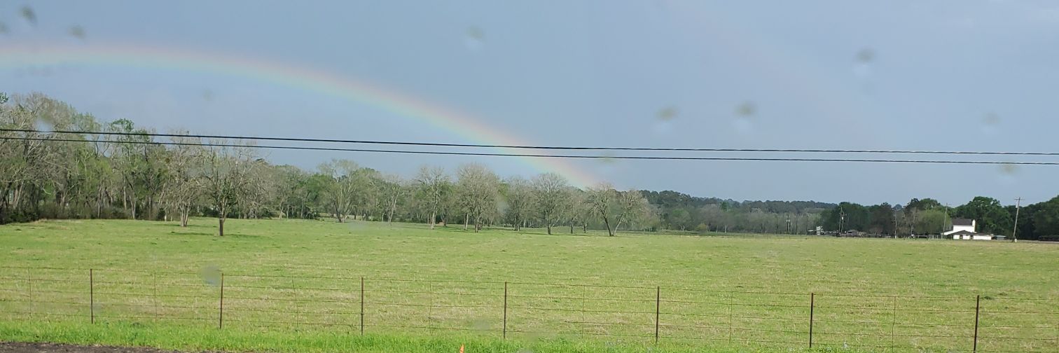 kbutzy's profile banner image