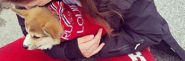 BizzyJ20's profile banner image
