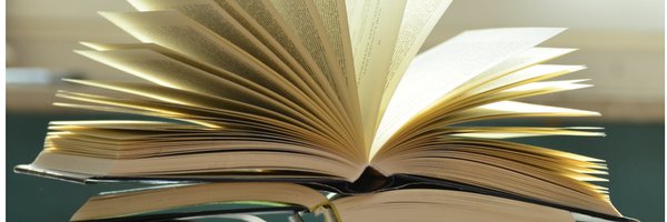 AmyMcGovern1 Profile Banner