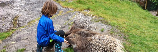 MeriVarela Profile Banner