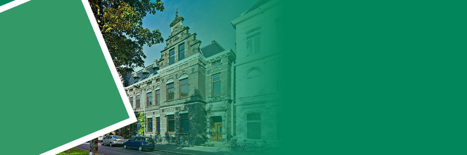 JIN·ngo banner