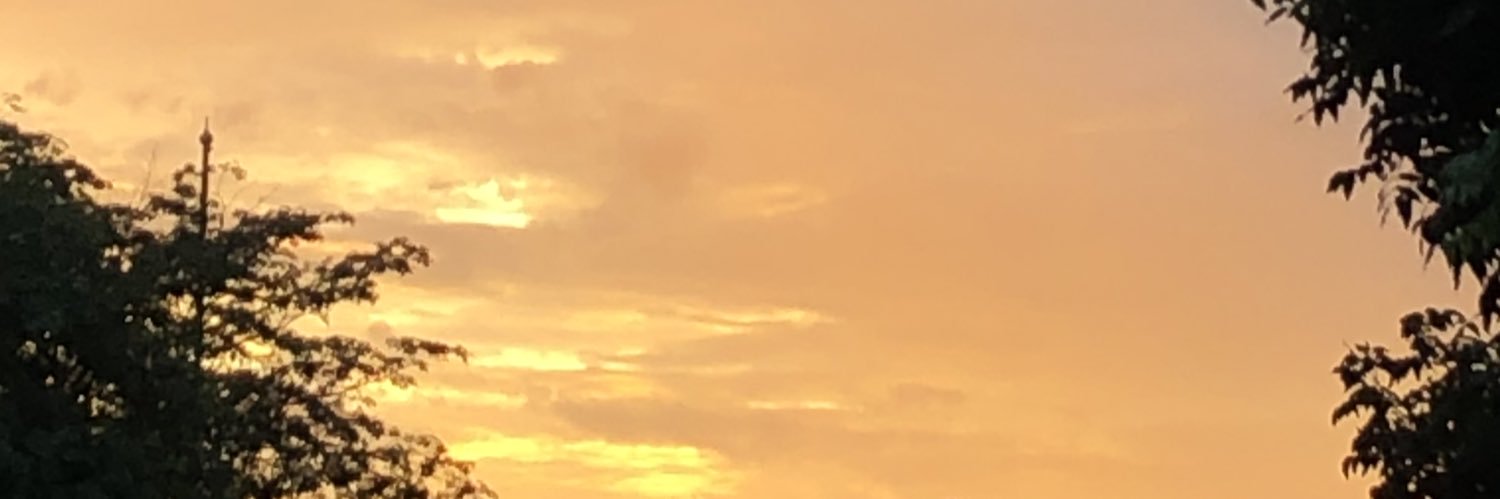 _chonapa's profile banner image