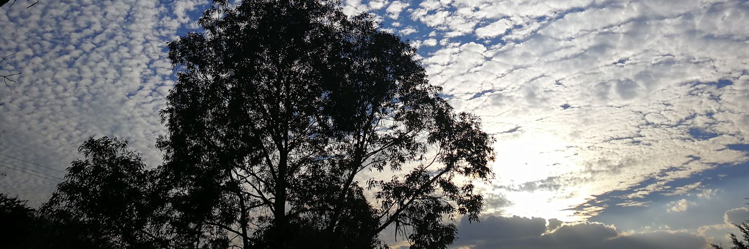 ommib1's profile banner image