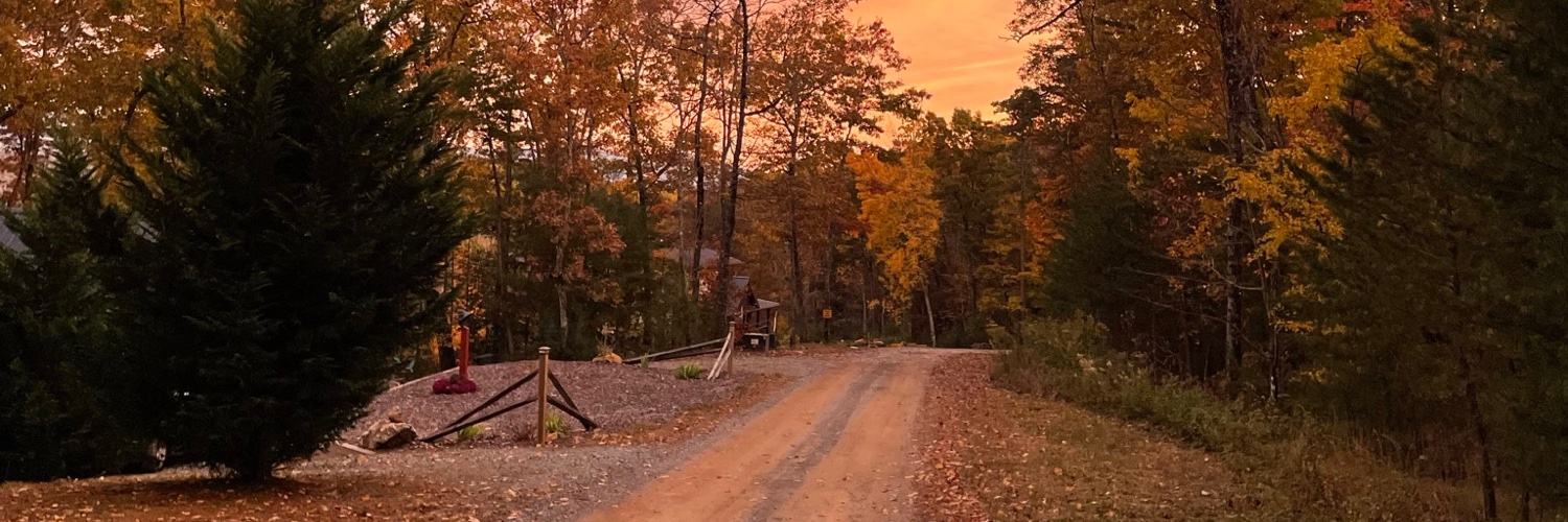 blaisi29's profile banner image