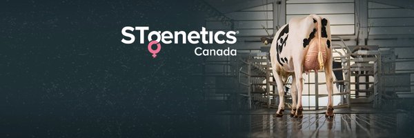 STgenCanada Profile Banner