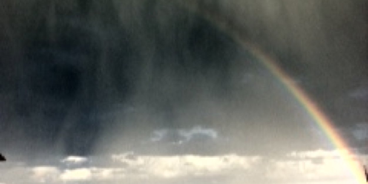 Errorsoftongue banner