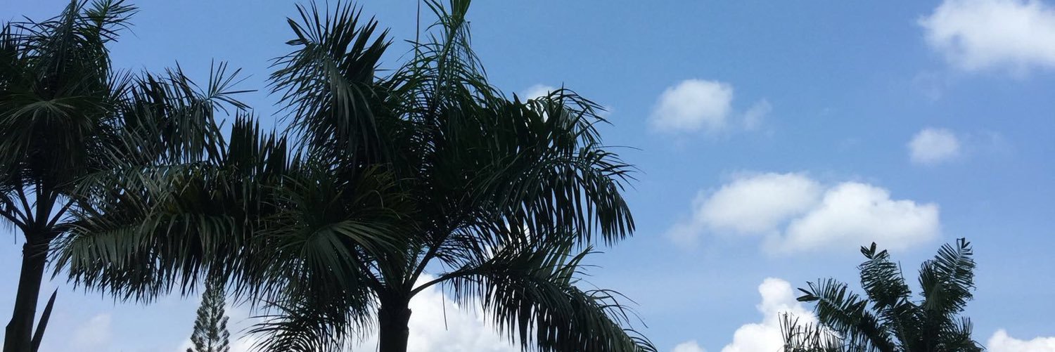 ShaneTannn's profile banner image