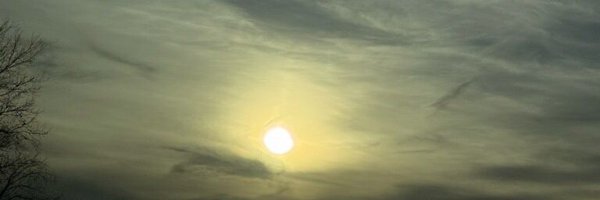 MyTiffylady Profile Banner
