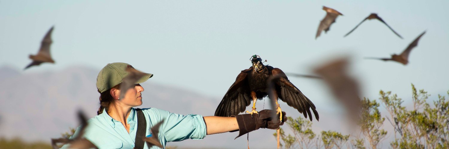 Laura N. Kloepper, Ph.D banner