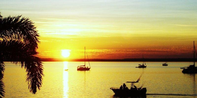 Cin_pet's profile banner image