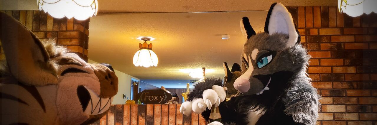 SenkaVixen's profile banner image