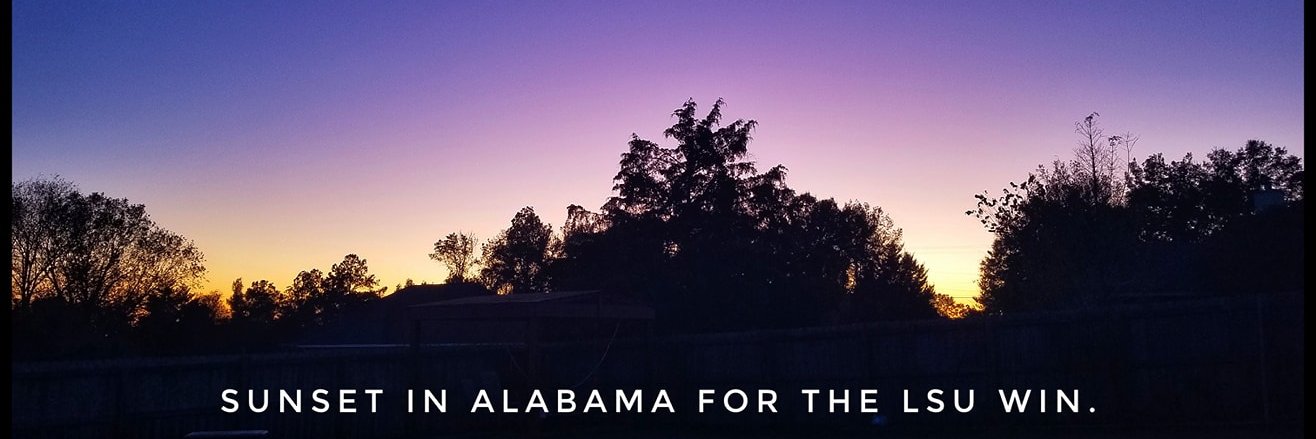 TannPhoto's profile banner image