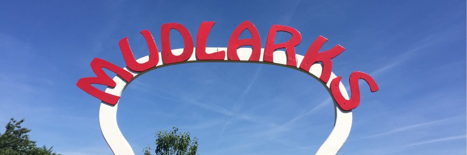 MudlarksGarden's profile banner image