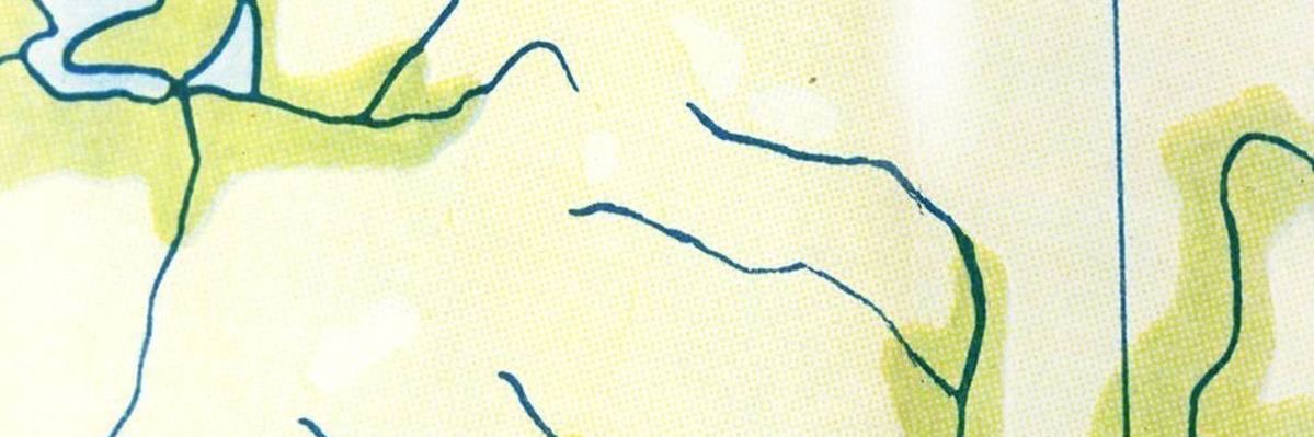 chiara banner